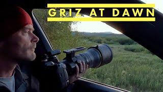 Grizzly Bear Early in The Morning and a Wild Scene Along The Snake River - Wildlife Photography Vlog