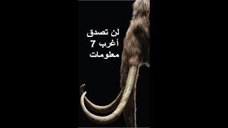 معلومات غريبة جداً || اغرب 7 معلومات