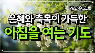 은혜와 축복이 가득한 아침을 여는기도 ㅣ아침기도ㅣ 은혜의 기도 ㅣ 축복의 기도 ㅣ 기도속으로