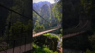 Mountain View - 3 #mountains #himalayas #nature #travel #bridge #hangingbridge