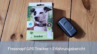 Fressnapf GPS Tracker für Hunde - BDB5 - Buddy der Beagle