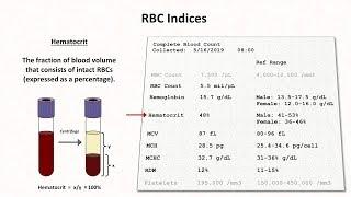 How to Interpret RBC Indices (e.g. hemoglobin vs. hematocrit, MCV, RDW)