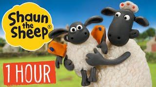 1 HOUR Compilation | Episodes 1-10 | Shaun the Sheep S1