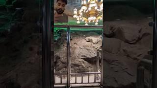 https://youtube.com/shorts/K0EKZ1u3mWw?si=n9ZzI3EZ4nVgKLQR