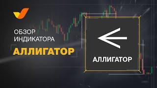 Индикатор Аллигатор | Принцип работы | Трейдинг для начинающих