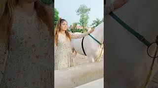 #horse#shortviral#youtubeshort#rimshahussain