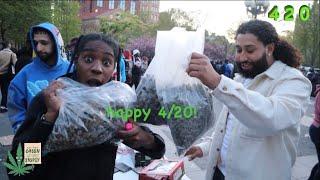 Asking strangers for free weed on 4/20 