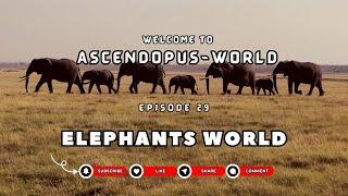 Episode 29: Creatures of Earth  I Elephant World I @Ascendopus-World