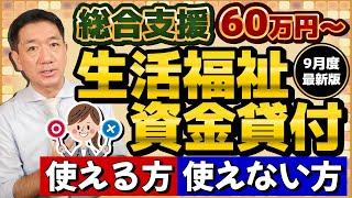 【60万円 生活資金貸付: 使える方、使えない方】対象外の事例/ 低所得者/ 高齢者/ 障害者世帯/ 生活支援費/ 貸付金額/ 利率・保証人/ 特例免除・生保の利用〈24年9月時点〉