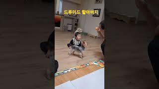드루이드 할아버지 #vlog #korea #bts #한일부부 #international #韓日夫婦 #bmw #국제부부 #국제부부 #아기