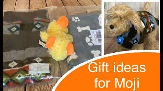 Skyrocket Moji the Lovable Labradoodle - 3 gift ideas - dog blanket, dog sweater & squeaky duck