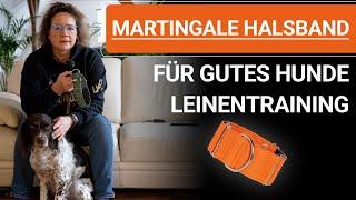  Stephanie Salostowitz ️Martingale Halsband für gutes Hunde Leinentraining ️