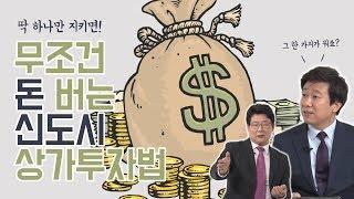 딱 1가지만 지키면 무조건 돈버는 신도시 상가투자법! 알면 돈버는 신 교수의 부동산 정보