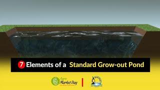 #7 Elements of a Standard Grow-out Pond || Fish Farming