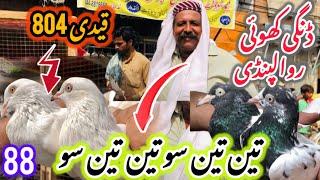 Kabootar Mandi || Dingi khoi Kabootar Mandi || Rawalpindi kabootar Mandi || 13/09/2024