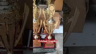 cricket fiber ki trophy #africa #fypシ #cricket #trophy #music #trophies #icctrophy #song #homedecor