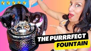  The 1 BIG difference with this Wireless Gorgeous Diamond-Cut Cat Fountain!  FULL review