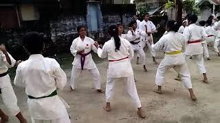 Karate kumite Training. Great way to increase speed and power.    www.shotokarate.com