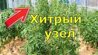 Хитрый узел для томатов. Шпагат не оторвется никогда!