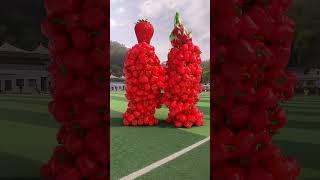 Fruit pair collision special effects c4d animation decompression