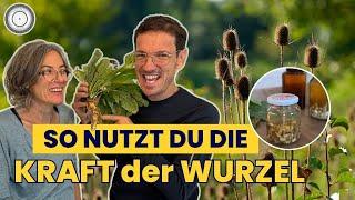 Wilde Karde & Meisterwurz - Diese Wurzeln habens in sich!!! Borreliose, Verdauung und Immunsystem