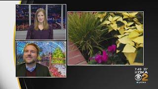 Holiday Show At Phipps Conservatory And Botanical Gardens