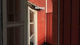 Explore Norway #norwaytourism #travelvlog #visitnorway #norway #nature