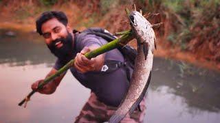 Bamboo Stick Fishing | Primitive Technology | മുളകുന്തം മീൻപിടുത്തം | M4 TECH |