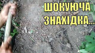 Такого ще не знаходили ніколи! Пошук з металошукачем в Україні