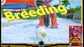 How EGGS "work" Breeding Pokémon Scarlet & Violet !!SHINY ALERT!!