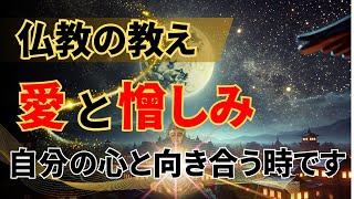 仏教の教え｜愛が憎しみに変わる時、そしてその先にある心の静寂