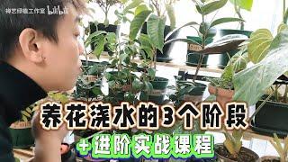 養花澆水3階段對號入座！附實戰教程，看完輕松上手！【禪藝綠植工作室】
