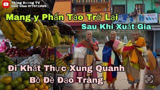 Lần Đầu Tiên Các Thầy Tịch Quang, Quang Đạt Và Minh Đức Đi Khất Thực Xung Quanh Bồ Đề Đạo Tràng (P1)