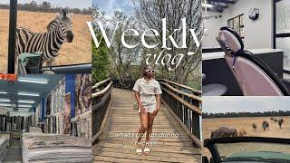 #vlog / recess vlog: new hair, passport application, new job, apartment update, game drive & more!