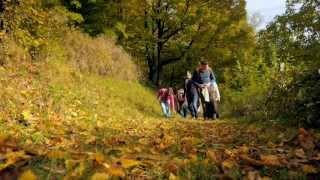 Kastanien - Früchte der Südlichen Weinstraße