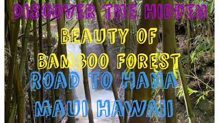 Bamboo Forest Hike Waterfalls Tour | Road to Hana | Maui, Hawaii