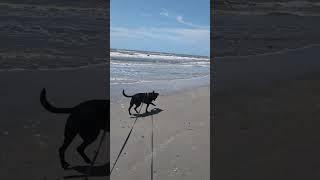 Sami Goes To The Beach