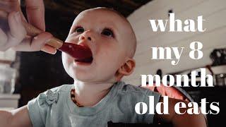 WHAT MY 8 MONTH OLD EATS IN A DAY | Healthy & Homemade Baby Meal Ideas