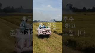 베트남 농촌 추수후 수확물 운반차량