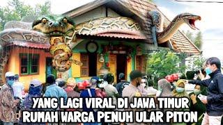 Viral !! Warga Beramai-ramai Melihat Rumah Penuh Ular Piton Berukuran Raksasa