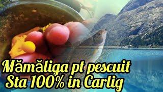 Mamaliga ''a la Valcea'' ,Sta 100% in carlig.Super usor  de pregatit.Reteta pt toti pescari