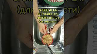 Как прорастить пшеницу просто в домашних условиях! Мой способ проращивания для твоей еды!