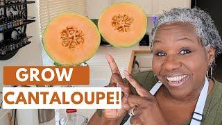 Grow Cantaloupe In Any Space! Learn How Easy it is to Grow Cantaloupe Melons in Big and Small Spaces