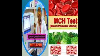 MCH রক্ত পরীক্ষা. High MCH, Low MCH, Mean corpuscular Hemoglobin. MCH blood test in Bangla.