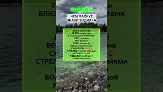 Как пахнут знаки зодиака#Астерика #астрология #знакизодиака #прогноз #гороскоп #деньги #любовь