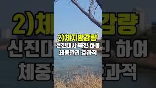 걷기운동효과 매일30분 걸으세요