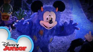 Find the Hidden Mickeys! | Mickey and Friends Trick or Treats | Halloween Special | @disneyjr