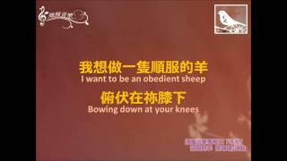 Stubborn Sheep 頑固的羊--Sowing Seeds Music 播種音樂