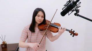 P!NK - All Out Of Fight(Violin Cover)