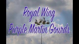 Royal Wing Purple Martin Gourds